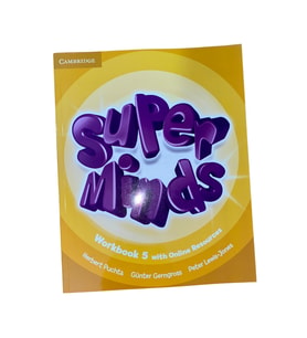 Super Minds Level 5 Workbook