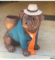 BY ARİ ŞAPKALI BULLDOG SAKSI BD158-2