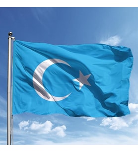 Doğu Türkistan 150*225