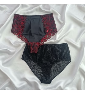 Kadın Yüksek Bel 2'li Paket Slip Külot BB2175