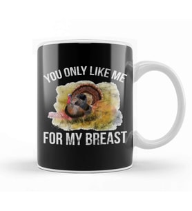 Funny Thanksgiving You Only Like Me For My Breast Kupa Bardak Porselen