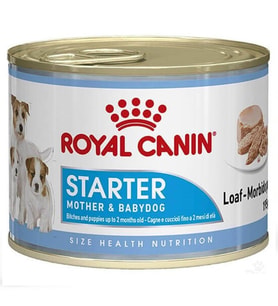 Royal Canin Starter Köpek Konservesi 195 Gr