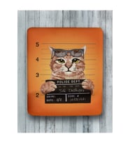 Sabıkalı Kedi Bilek Destekli Mouse Pad