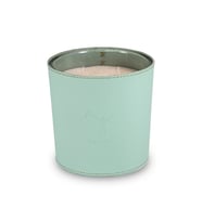 Deri Soul Su Yesili Bitkisel Mum 1000gr Vanilya, Tütün & Tarçın (Su Yeşili)