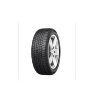 235/65R17 108H XL WINTECH VIKING (K21)