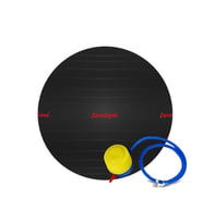 ZeroGym AntiBurst Pilates Topu, Egzersiz Topu 65cm / Siyah