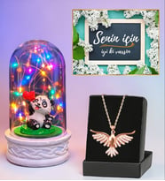 Premium Set Renkli Led Işıklı Fanus ve Zümrüdü Anka Kuşu Kolye (Model 8)