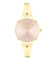 Calvin Klein CK25100027