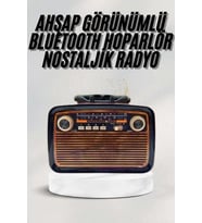 Bluetooth Hoparlör Ahşap Renk Vintage Işıklı Nostaljik Radyo Fm Ahşap Görünümlü