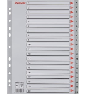 Esselte Seperatör 1-20 Rakamlı Plastik A4 100107