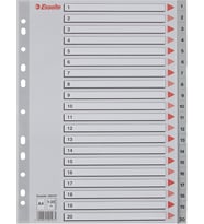 Esselte Seperatör 1-20 Rakamlı Plastik A4 100107