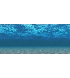 Kanki Pet KP1556508 Akvaryum Arka Fon Yapıştırma 155 x 65 CM