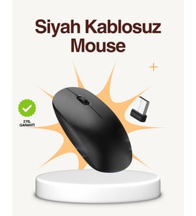 Kablosuz Sessiz Mouse – Ayarlanabilir Dpi Usb Bağlantılı - Lisinya