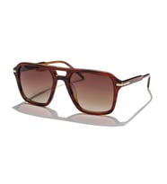 Hermod OLD2090S-C3-53 Polarize Unisex Güneş Gözlüğü (Kahverengi)