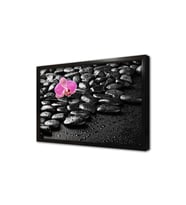 Spa Taşları ve Orkide Çerçeveli Mdf Tablo