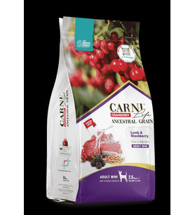 PETLOVEBUTİK CRANBERRY ANCESTRAL GRAIN KÖPEK KUZU & BÖĞÜRTLEN 7KG YETİŞKİN MINI