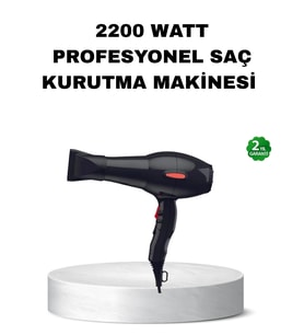 Profesyonel Saç Kurutma Makinesi – Ac Motor, Soğuk Üfleme, 2 Hız Kademesi