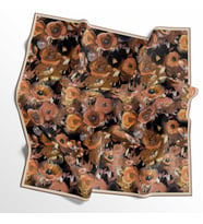 Soft Pamuk Eşarp - 05399 - 0612 (Hardal-Turuncu)