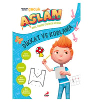 Aslan Dikkat ve Kodlama (Karışık)