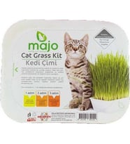 Kedi çimi