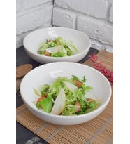 Modern 2'li Salata Kasesi 21cm (Çok Renkli)