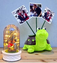 Kişiye Özel Hediye Seti 3 Fotoğraflı Sevimli Yeşil Kaplumbağa ve Led Işıklı Fanus (Model 8)
