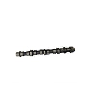 EKSANTRIK MILI EKSOZ (55206425) LINEA DOBLO BRAVO PUNTO EVO 1.6 D-MULTIJET ASTRA H VECTRA C ZAFIRA B (Standart)