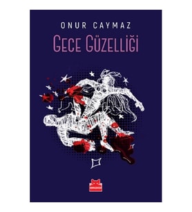 Gece Güzelliği