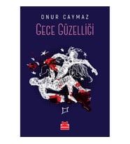 Gece Güzelliği