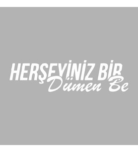 Her Şeyiniz Dümen be Araba Sticker siyah 16x6 CM (Beyaz)