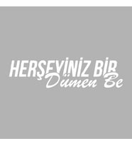 Her Şeyiniz Dümen be Araba Sticker siyah 16x6 CM (Beyaz)
