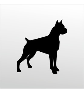 Folyo Sticker Pitbull 50cm Uzunluk (Karışık)