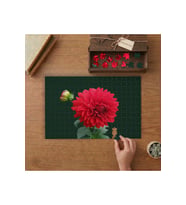 Kırmızı Yıldız Çiçeği Tasarımı 240 parça Ahşap Puzzle Ahşap Kutuda MP05770