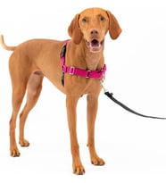 Easy Walk No-Pull Köpek Göğüs Tasması, Çekmeyi Önlemeye Yardımcı, Kontrolü Ele Alın ve Tasmayla Daha İyi Yürümeyi Öğretin, Evcil Hayvanların Yürürken Çekmesini Önlemeye Yardımcı
