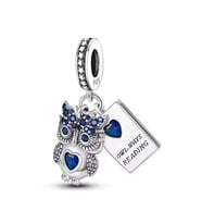 Mavi Taşlı Baykuş ve Kitabı Sallantılı Charm