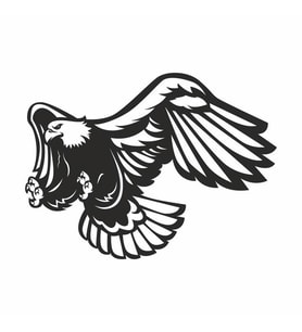 Kartal Sticker 20x20 cm Siyah (Beyaz)