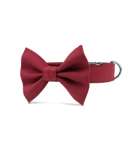 Lusi Doog Papyon Tasma (3 Beden) Bordo