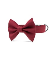 Lusi Doog Papyon Tasma (3 Beden) Bordo