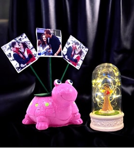 Size Özel 3 Fotoğraflı Pembe Kaplumbağa & Işıklı Şans Melekli Fanus