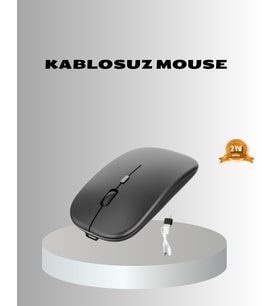 Kablosuz Mouse – Ayarlanabilir, Ergonomik - Lisinya