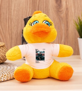 Kişiye Özel İnstagram Tasarım Fotoğraflı Peluş Civciv