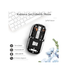 Siyah 501 Bt+ Wireless Mouse ZR1133