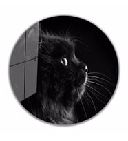 İdealizbiz Kedi Cam Tablo 4mm Dayanıklı Temperli Cam Hayvan Tema