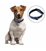 River World Yumuşak Dokulu Deri Köpek Gezdirme Boyun Tasması (Large)