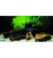 Kanki Pet KP1256333 Akvaryum Arka Fon Yapıştırma 125 x 63 CM