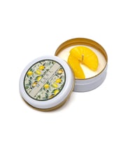 Limon Çiçeği Kokulu Vegan Teneke Mum (Sarı)