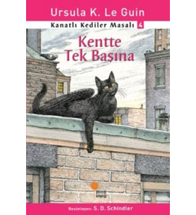 Kanatlı Kediler Masalı 4 - Kentte Tek Başına