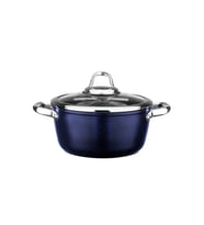 Leggno MST2828DT24BL Master Titanium Tencere Metalik Mavi 24 Cm