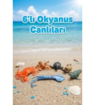 6 Parça Gerçekçi Okyanus ve Deniz Canlıları Figür Seti - Eğitici Hayvanlar Oyuncak Paketi