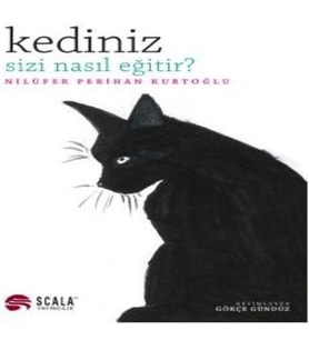Kediniz Sizi Nasıl Eğitir